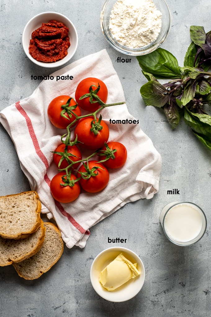 新鲜的番茄汤配方成分在一个灰色背景。