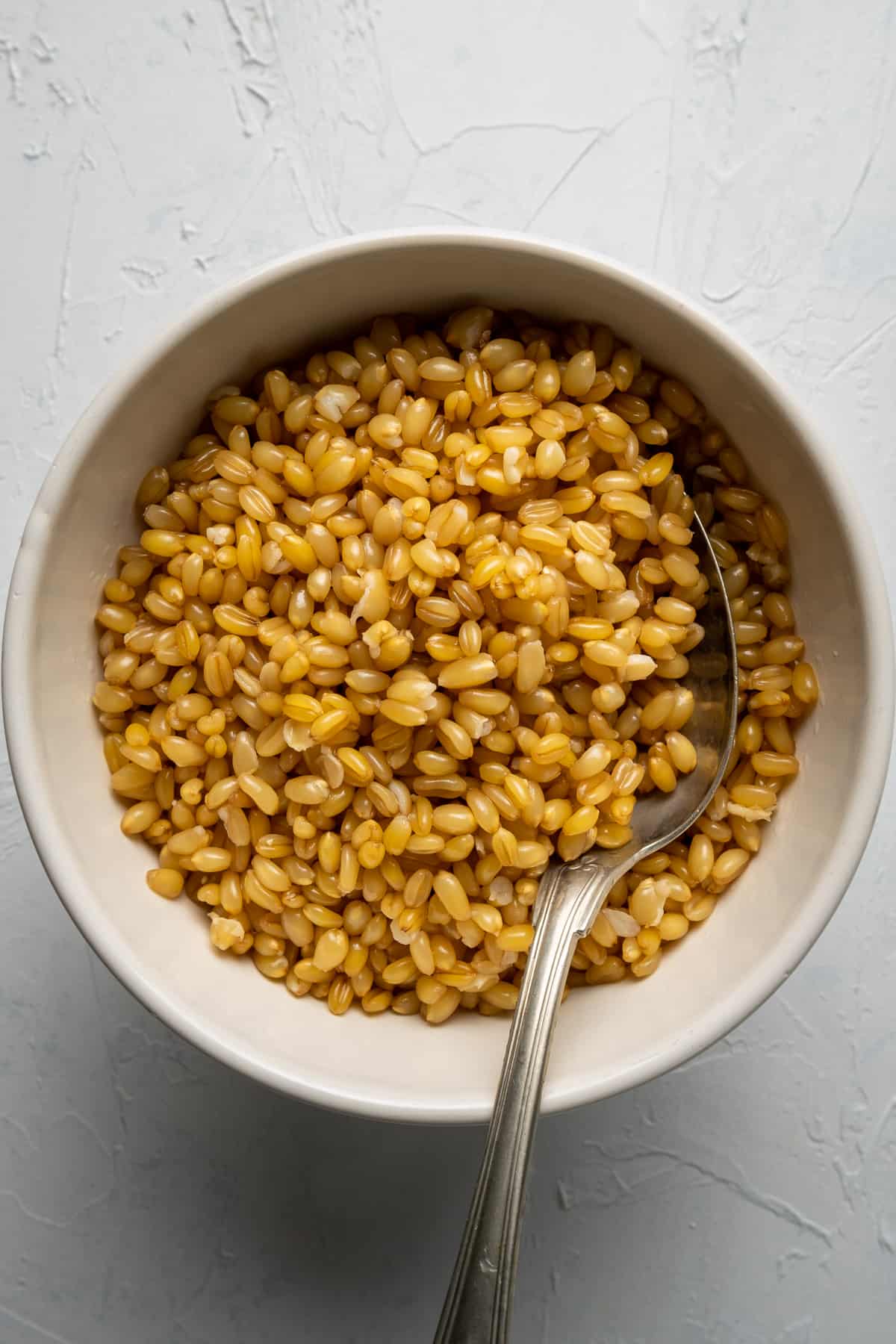 煮熟的小麦浆果放在一个白色的碗里，勺子在里面。