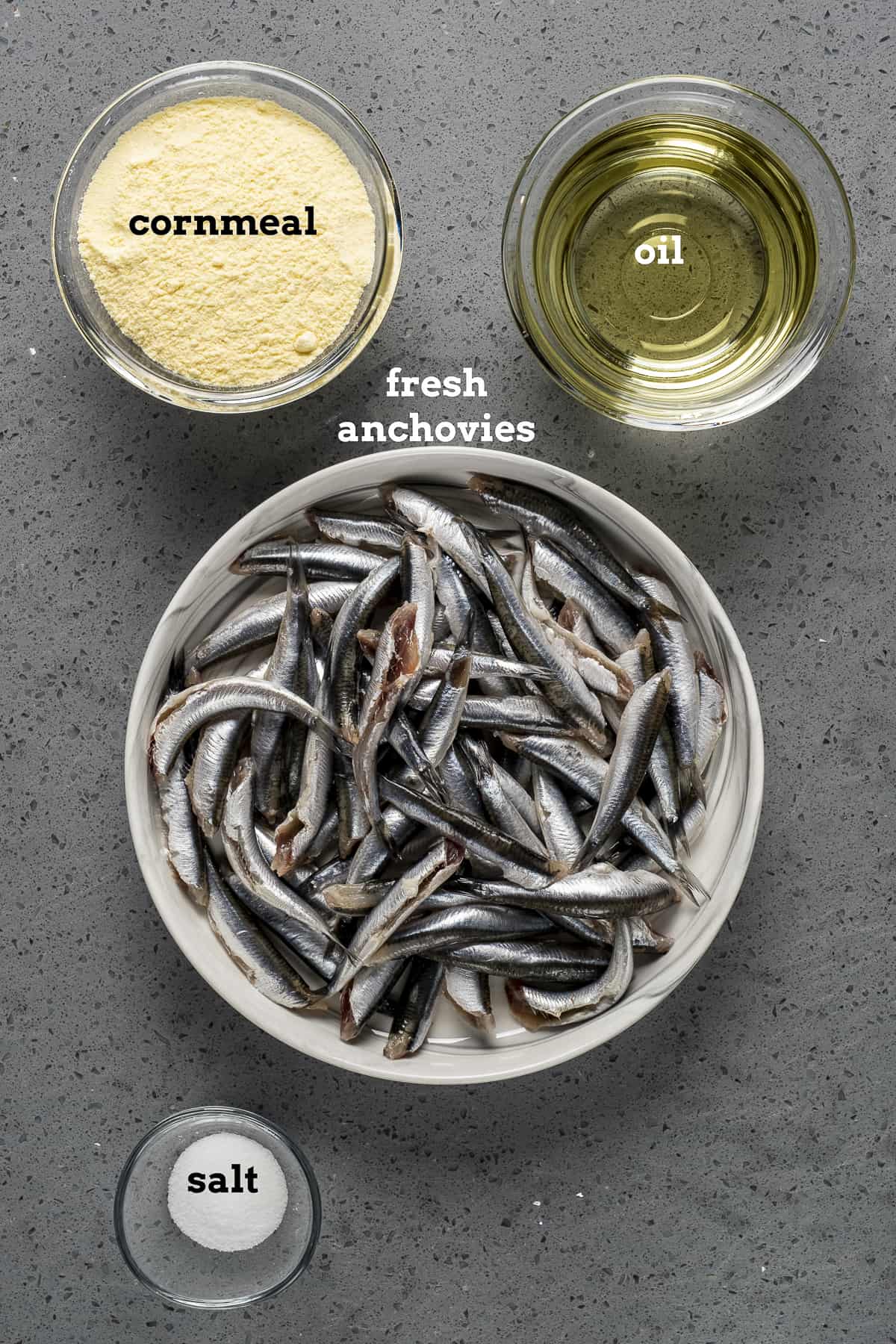 新鲜的凤尾鱼，玉米粉，油和盐在灰色的背景。