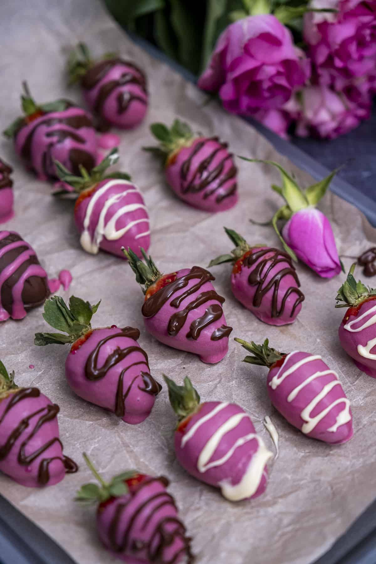 粉红色的草莓上点缀着白巧克力和黑巧克力，草莓后面是粉红色的玫瑰。