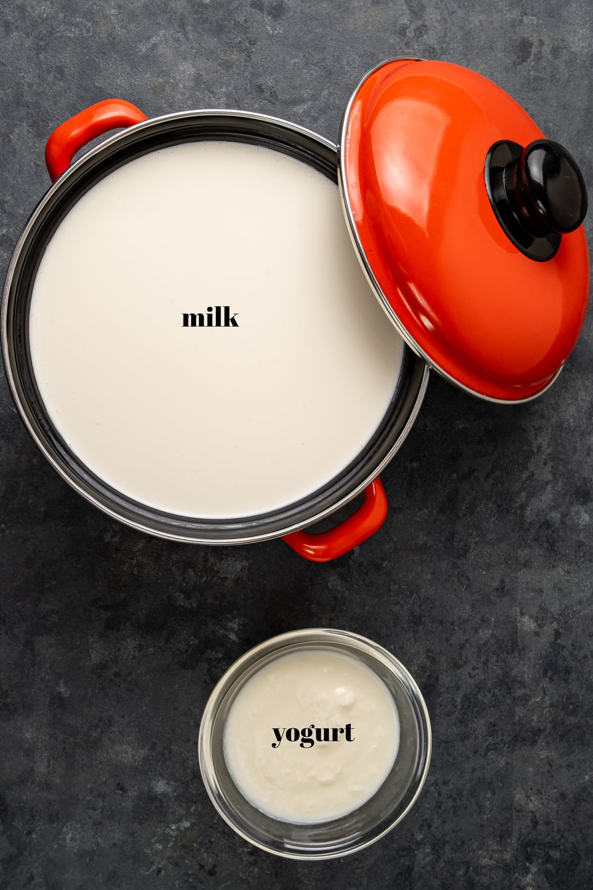 牛奶放在一个有红色盖子的搪瓷锅里，酸奶放在一个小碗里，在黑暗的背景上。