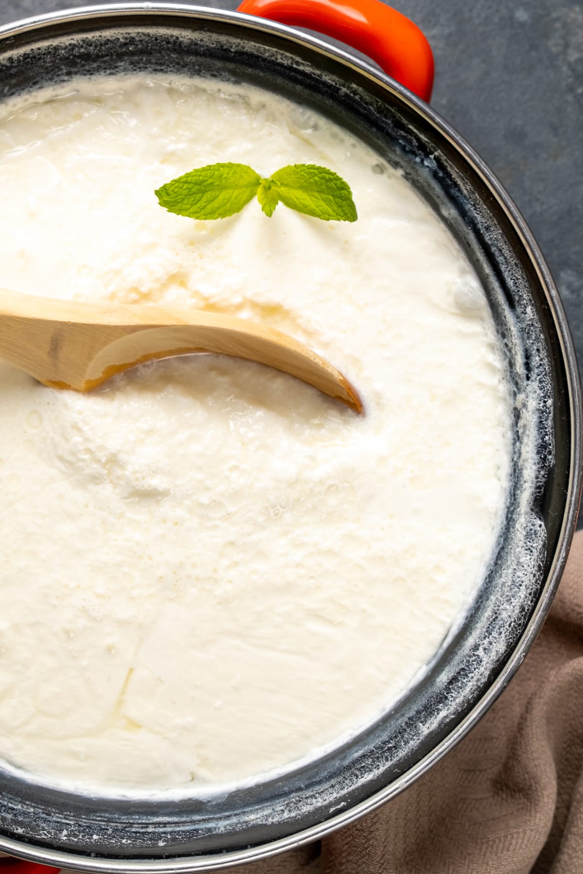 自制酸奶放在搪瓷锅里，里面放一个木勺，上面放一小枝新鲜薄荷。