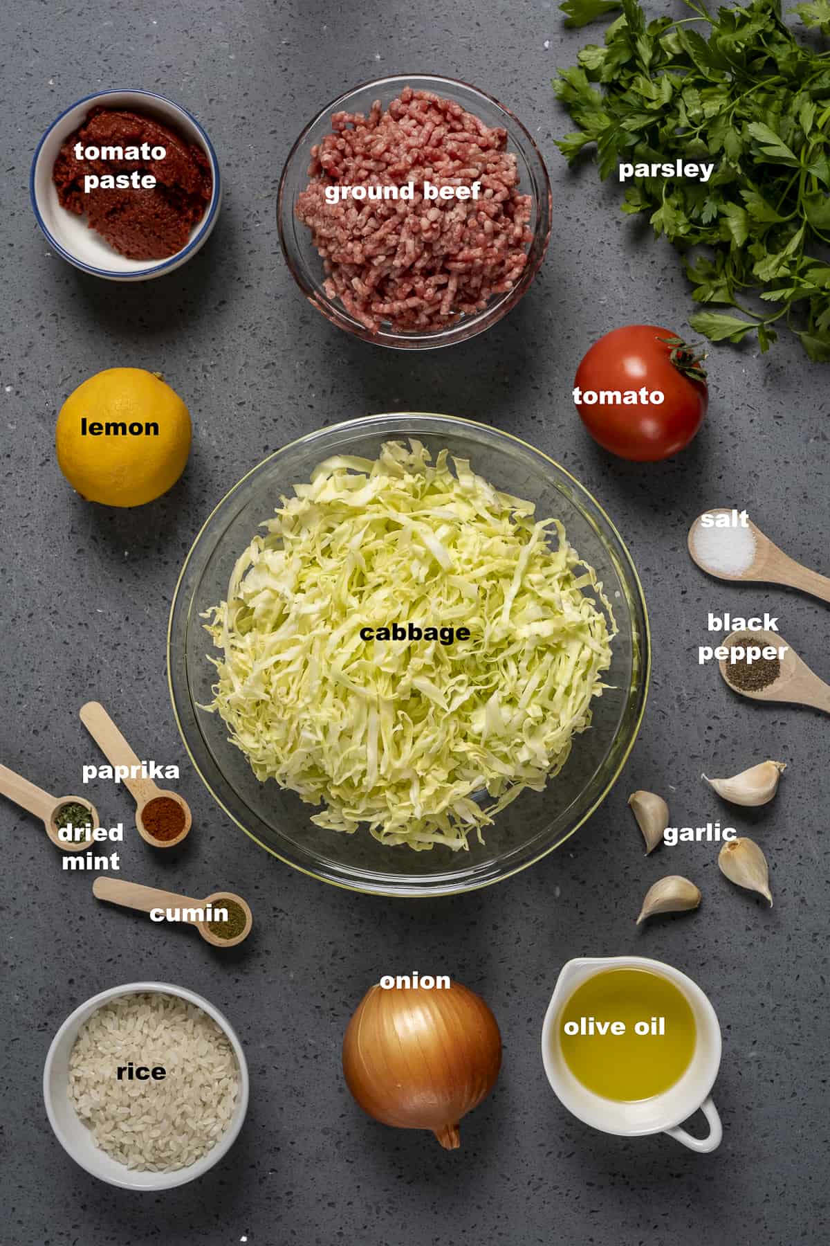 卷心菜丝，牛肉碎，番茄酱，大蒜，香料，柠檬和米饭放在深色背景上。