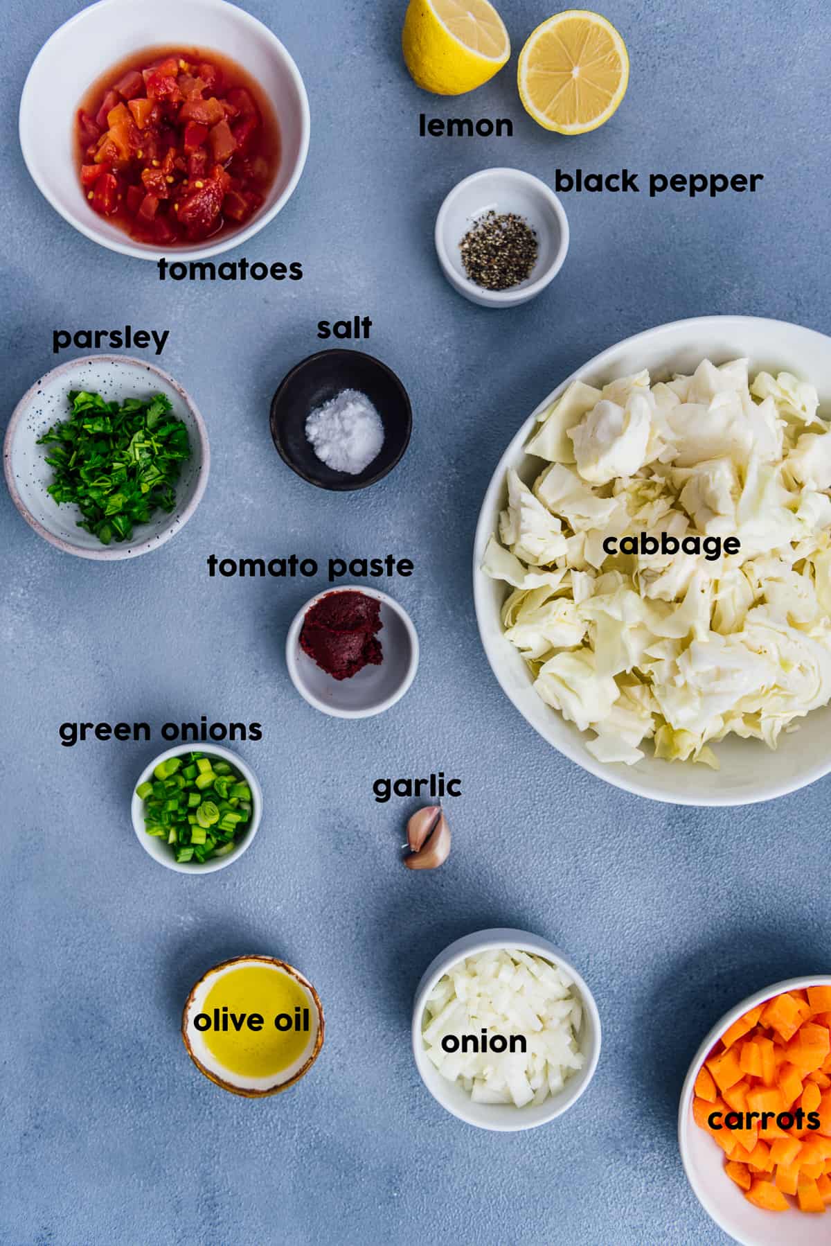 卷心菜丝、胡萝卜碎、欧芹和葱、番茄碎、番茄酱、蒜瓣、洋葱、香料和柠檬都放在灰色的背景上。